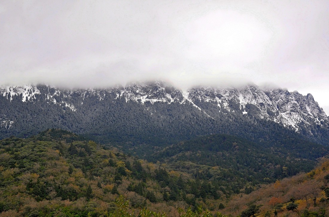 jose  diaz marin - josediazconcursoenero