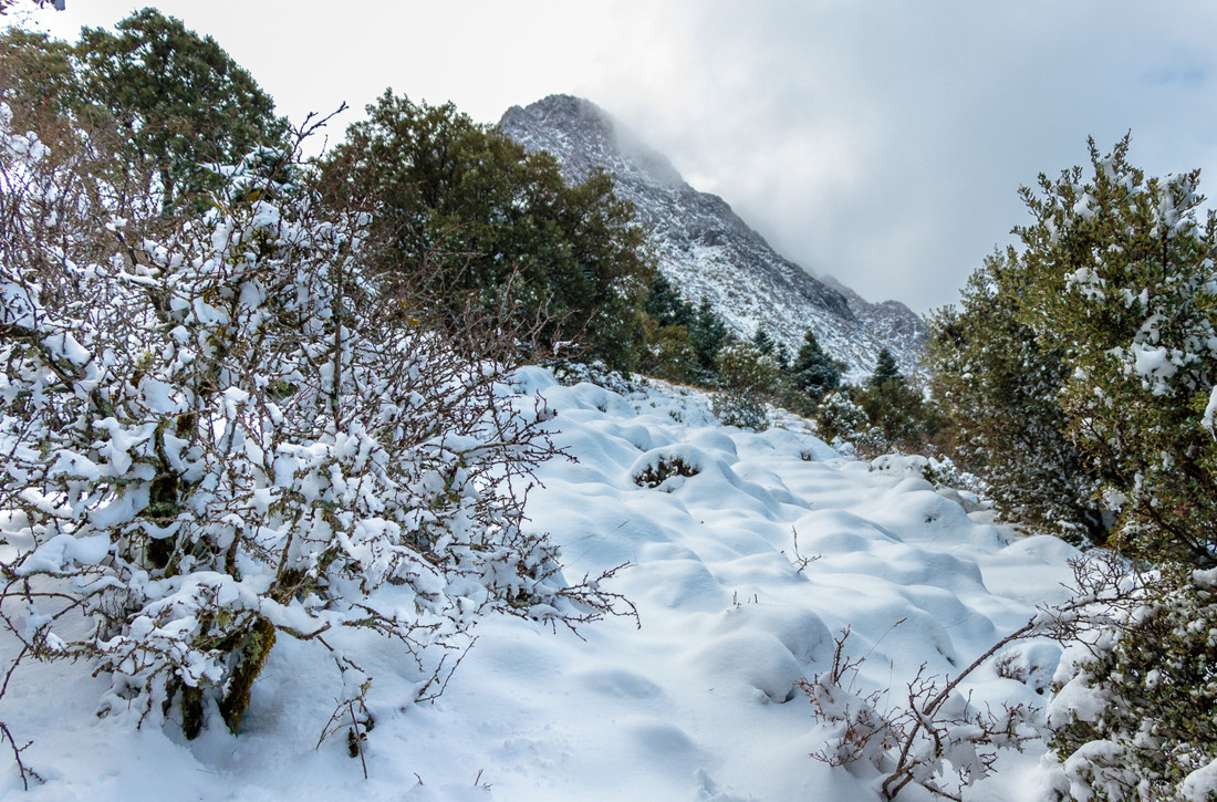 Manuel Ignacio Torres Lima - ConcursoNieve (1 de 3)