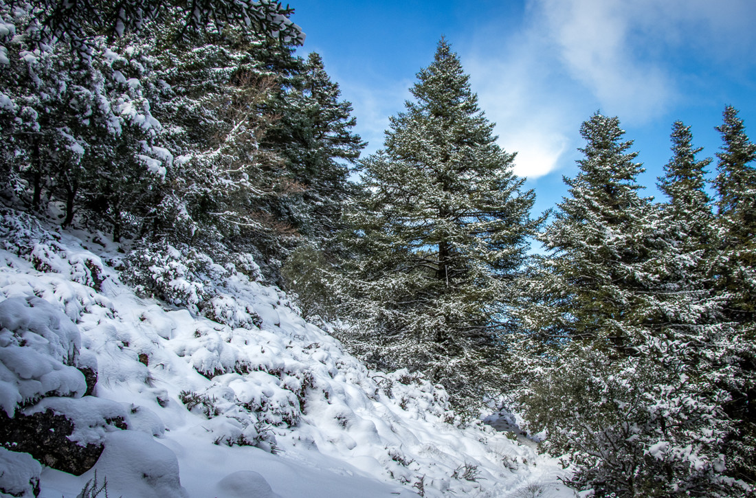 Manuel Ignacio Torres Lima - ConcursoNieve (2 de 3)