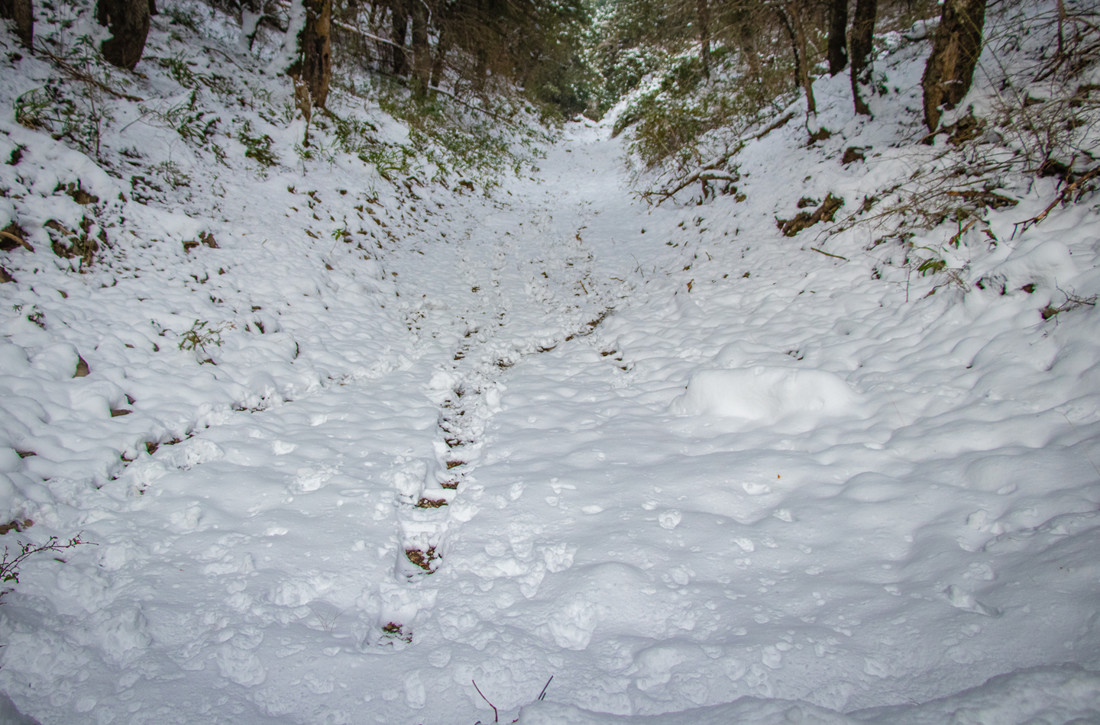 Manuel Ignacio Torres Lima - ConcursoNieve (3 de 3)