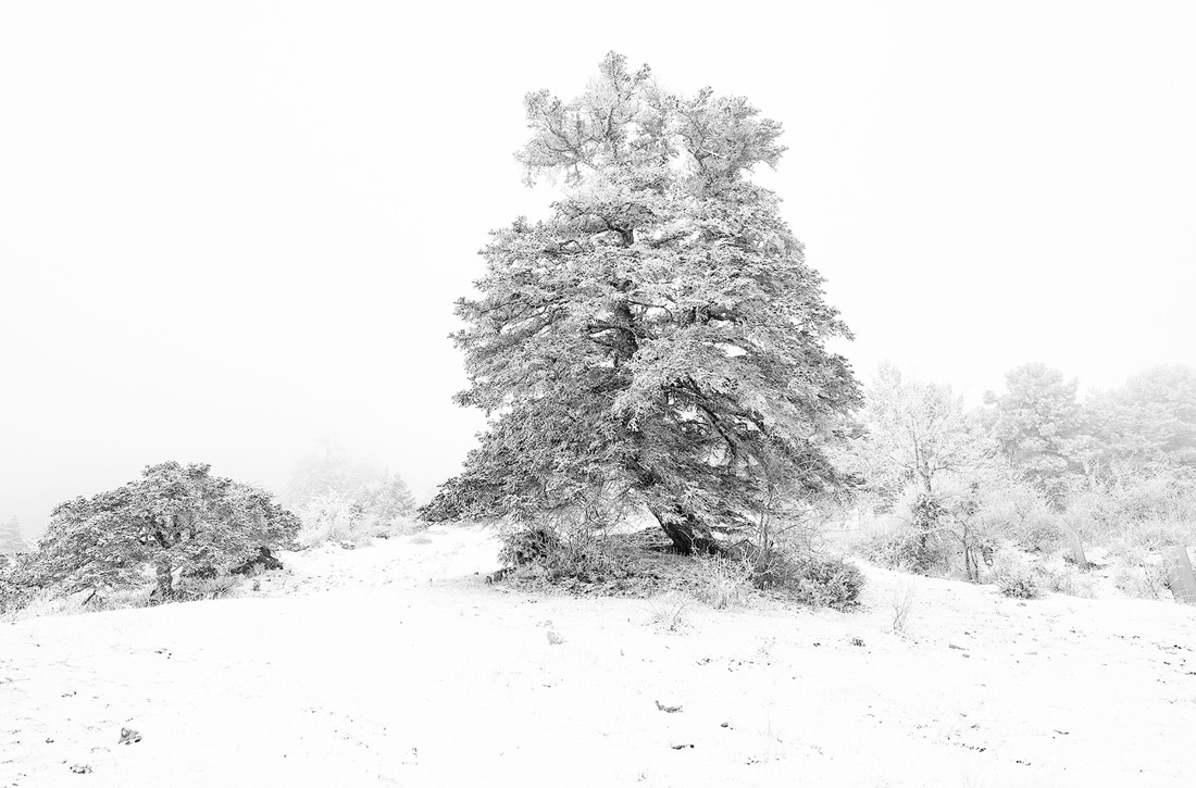 Manuel Pérez - Manuel-Perez-concurso-enero
