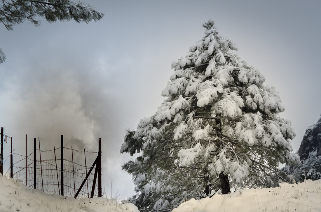 Manuel  Sanchez Dorado - Manuel Sánchez Concurso-enero