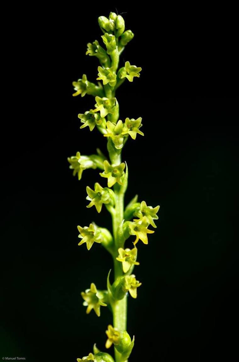 54257018_2313659602031649_2885411973514657792_n