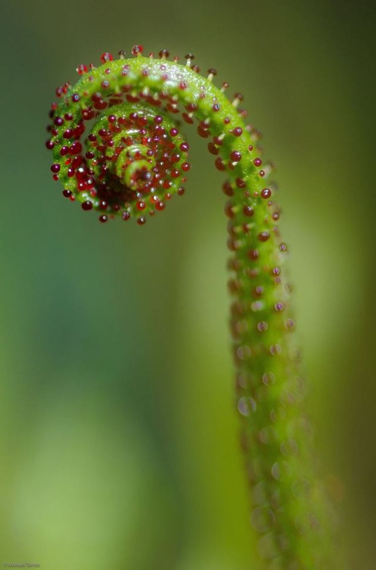 54462973_2313659595364983_8657262202979352576_n