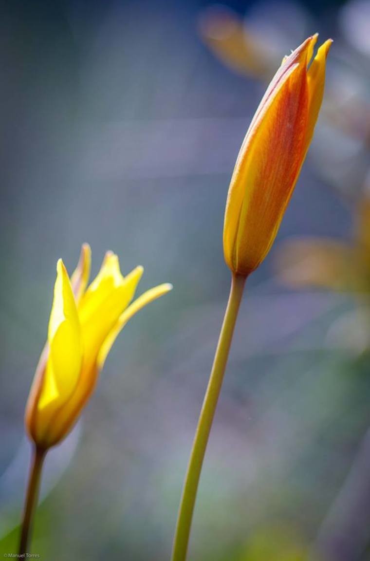 54514766_2313659675364975_6099780448622215168_n