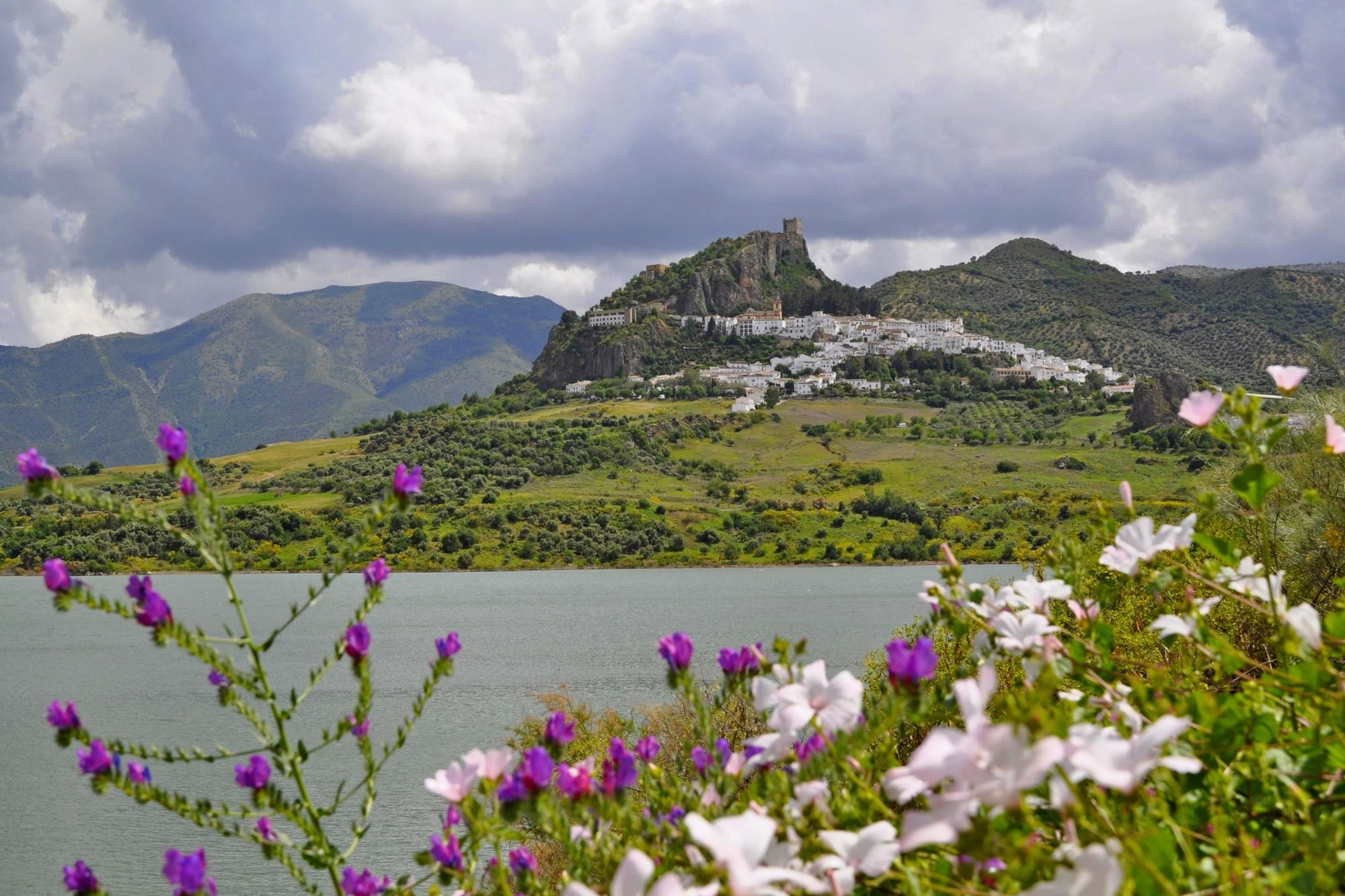 jose  diaz marin - #concursofebreroplantas