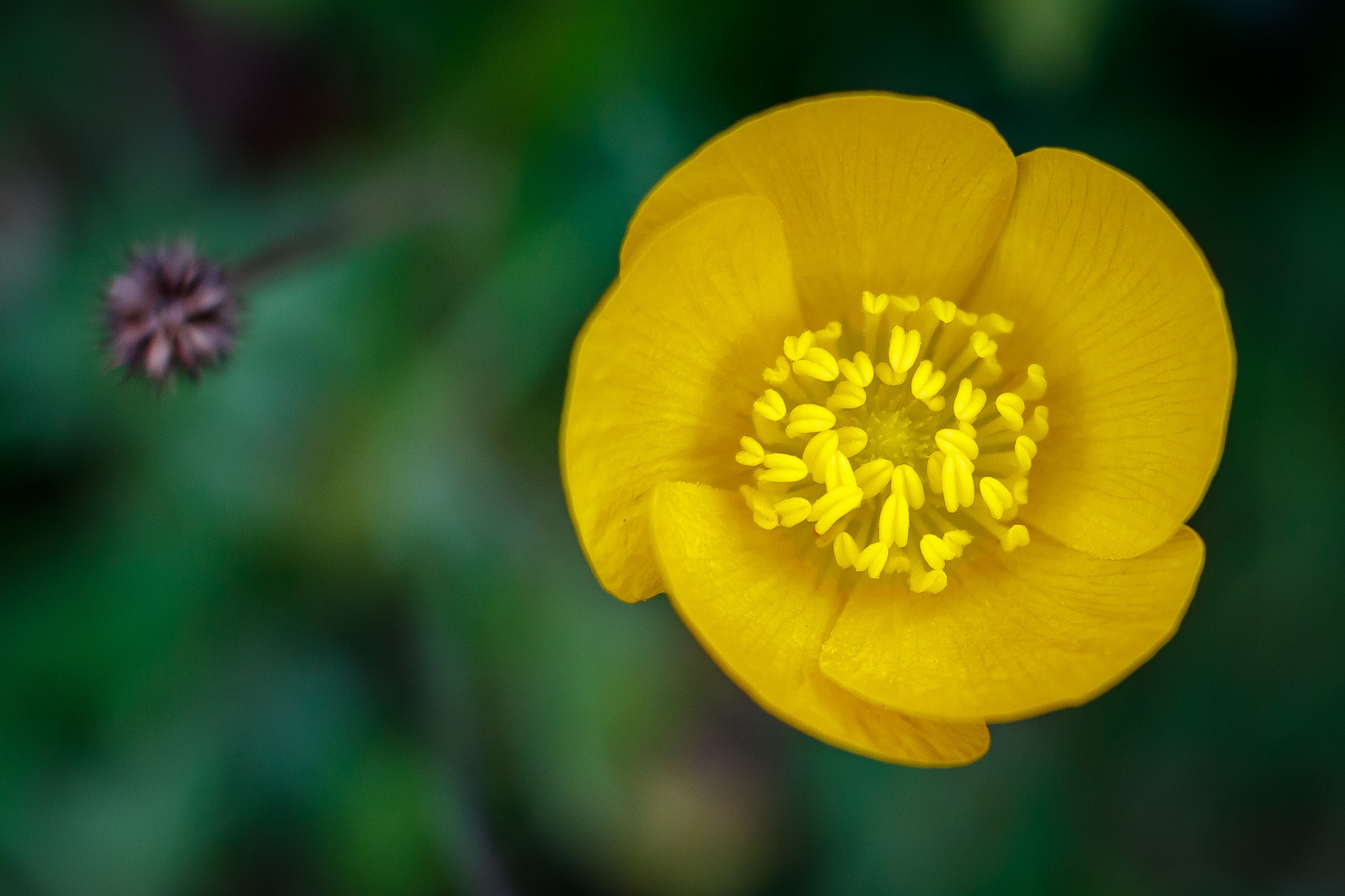 Manuel Ignacio Torres Lima - ConcursoFebreroMacro (3 de 3)