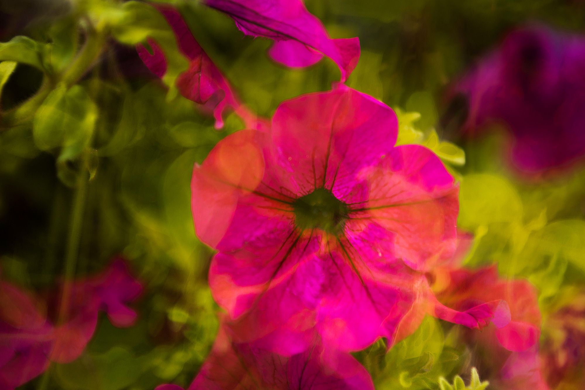 Manuel Perez - Concurso-Enero1MPerez