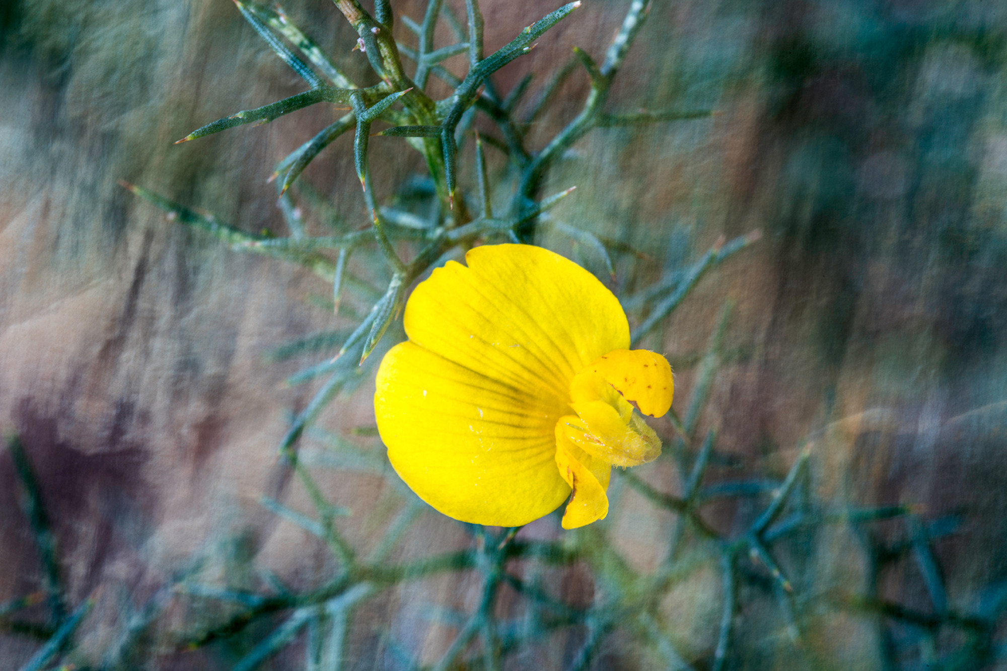 Manuel Perez - Concurso-Enero2MPerez