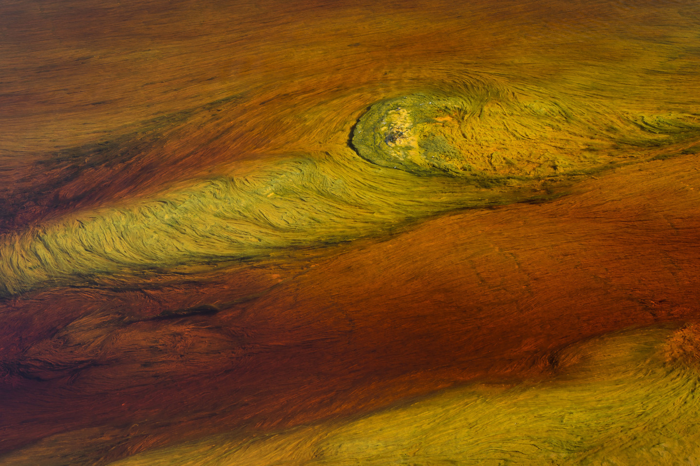 Antonio Rosa - AntonioRosa_Texturas1