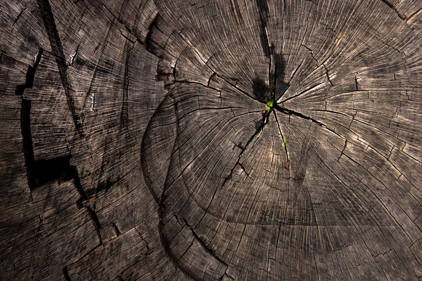 Arturo Montes - ConcursoJulio_Texturas_Arturo2