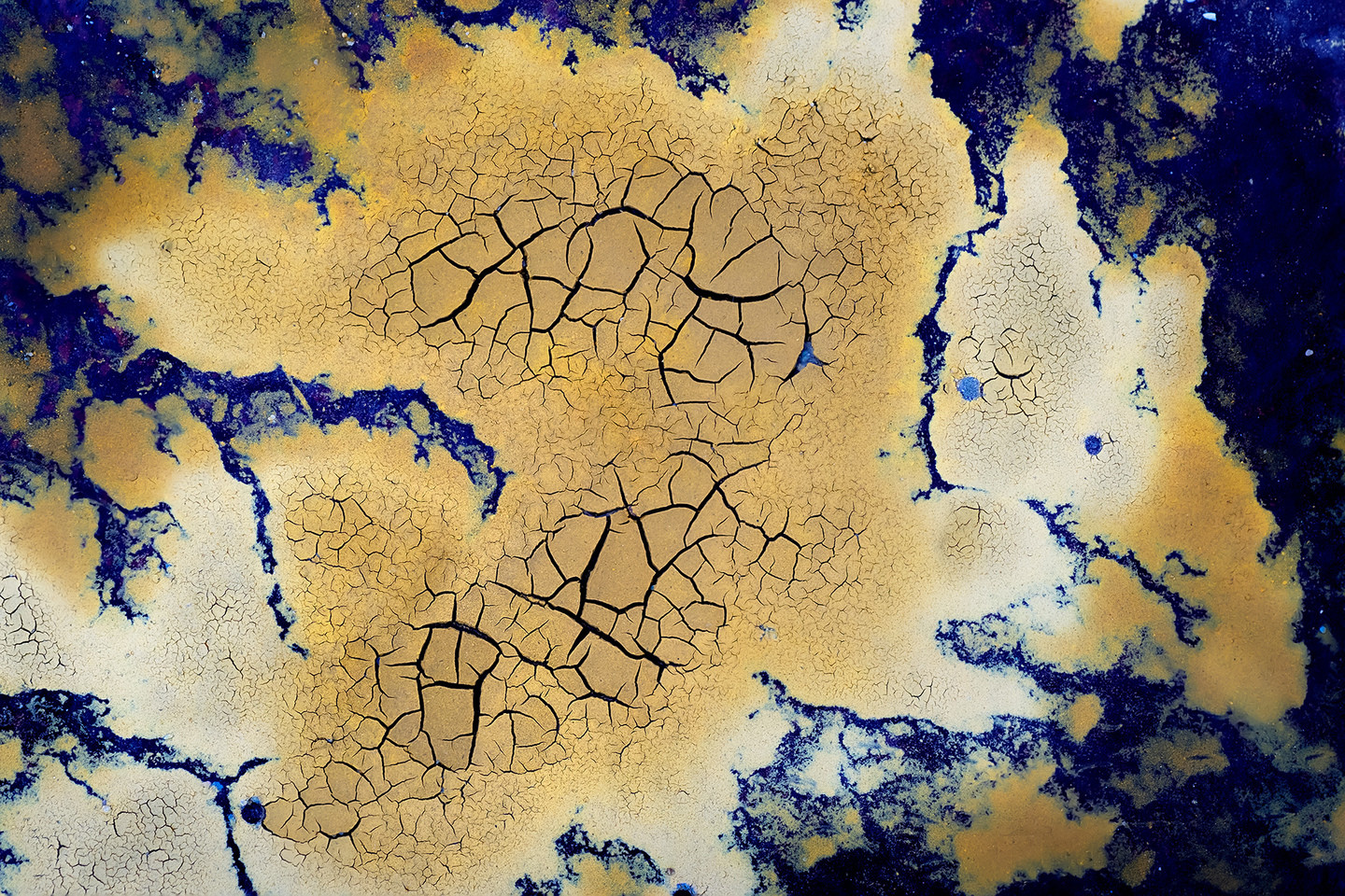 Arturo Montes - ConcursoJulio_Texturas_Arturo3