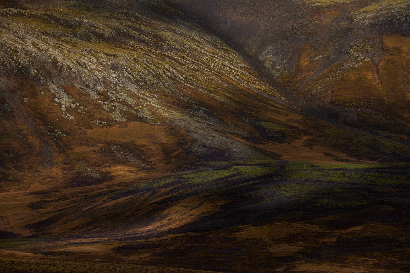 Arturo Montes - ConcursoJulio_Texturas_Arturo