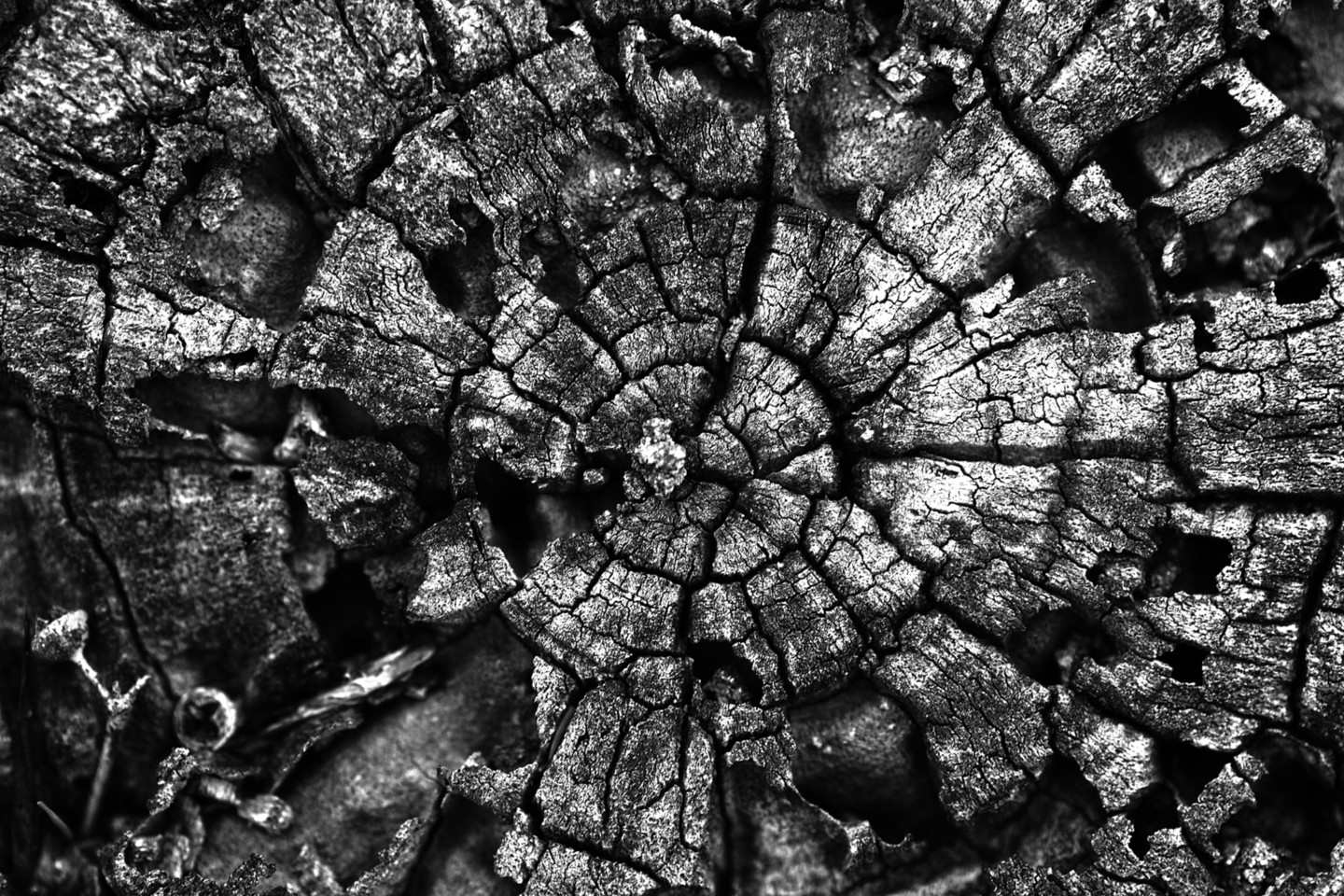 José  Soria Luna - TEXTURAS001 Pepe Soria