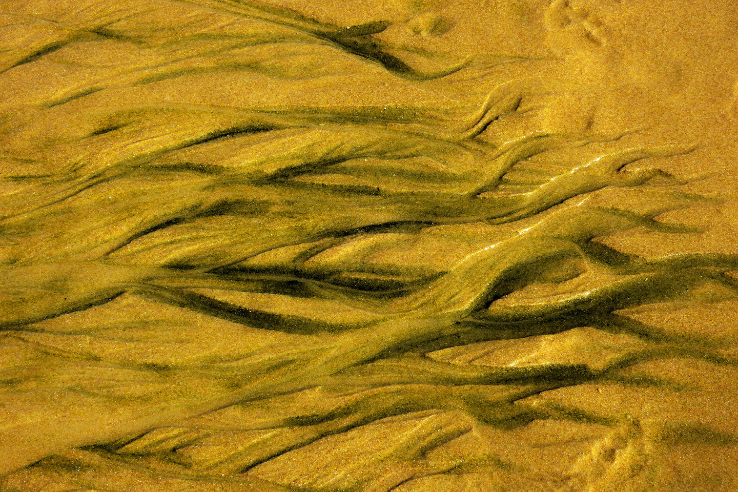 José  Soria Luna - TEXTURAS002. Pepe Soria