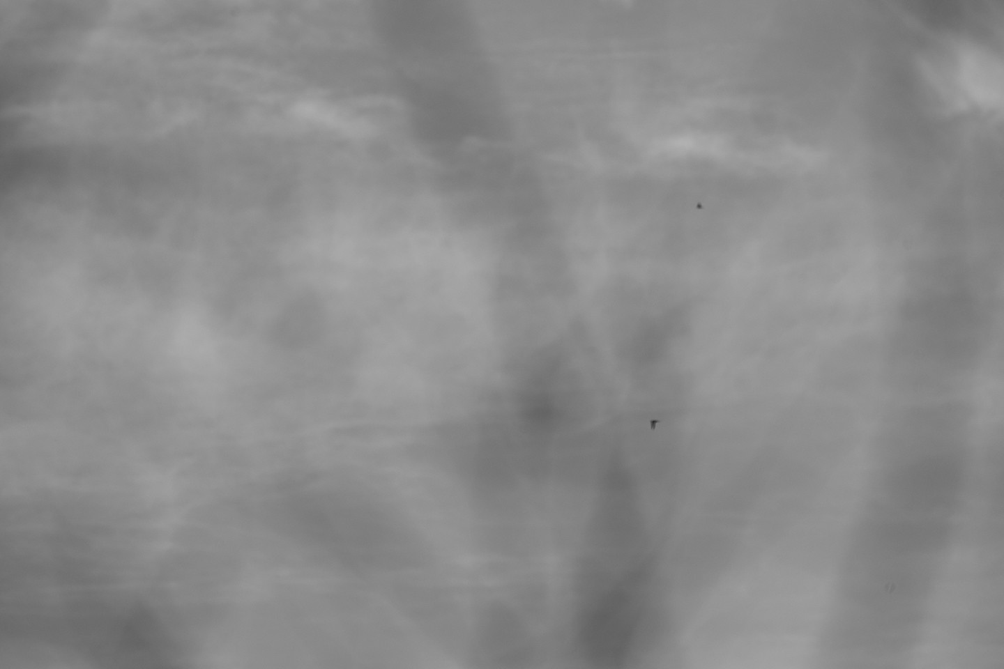 Juan Manuel Rosa Padilla - _FOT4770