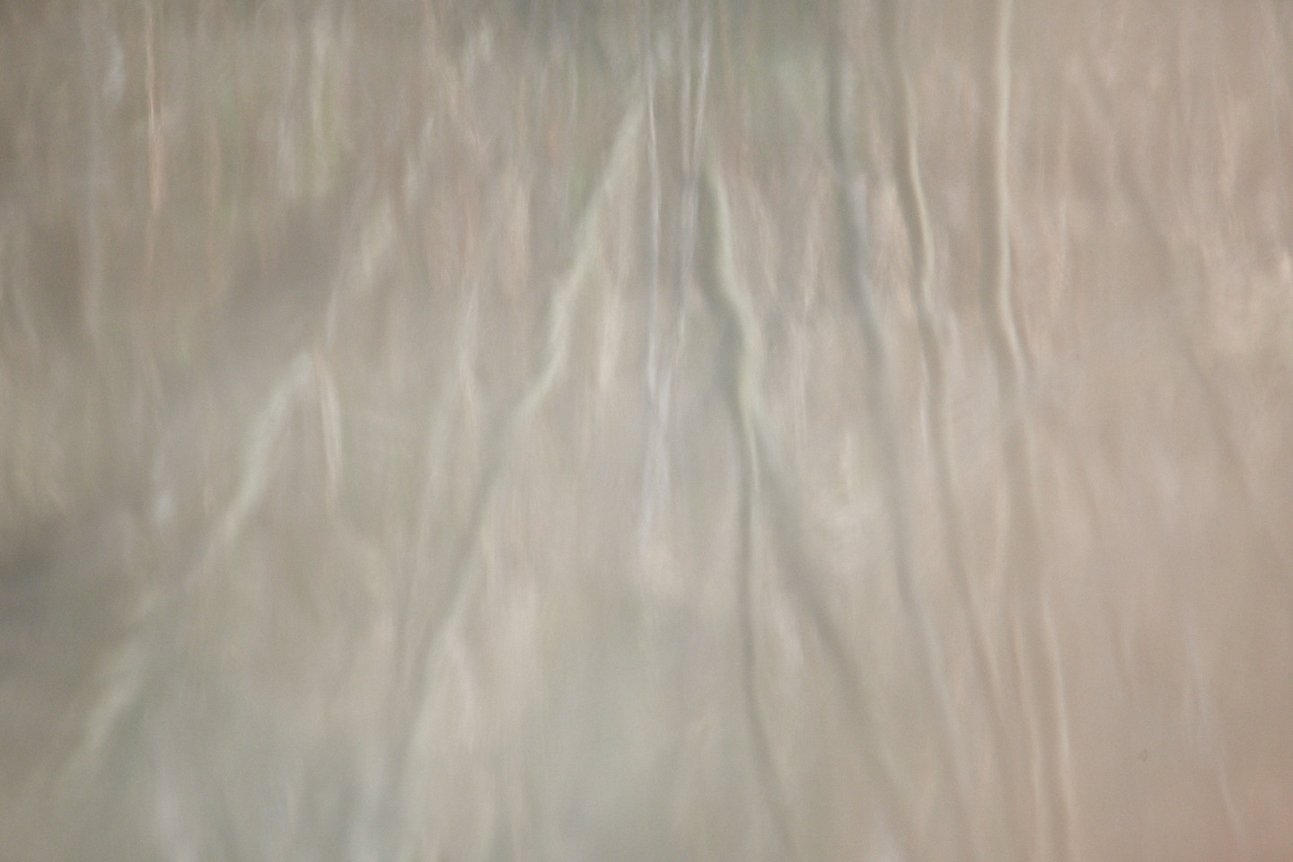 Juan Manuel Rosa Padilla - _FOT4787