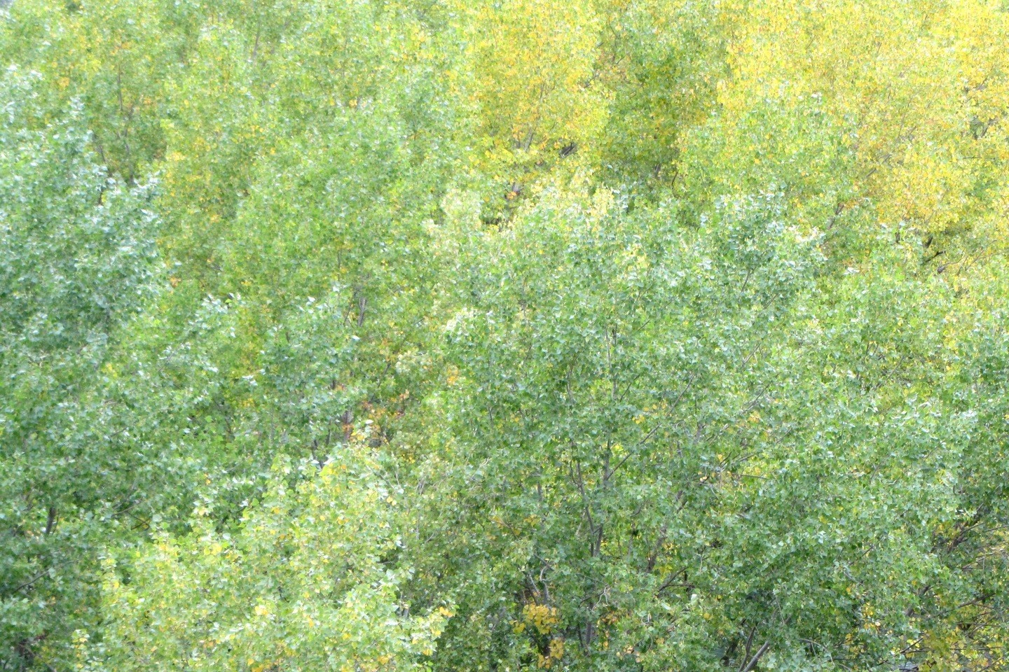 Mariano Maeztu - #Concurso_Julio_Texturas_Mariano_ Maeztu_1