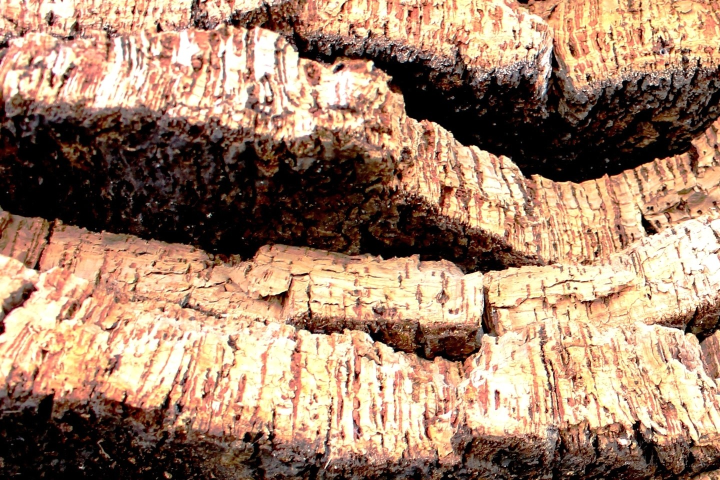 Mariano Maeztu - #Concurso_Julio_Texturas_Mariano_ Maeztu_2