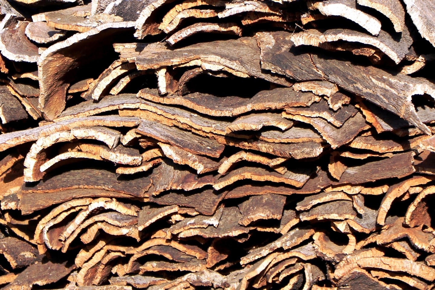 Mariano Maeztu - #Concurso_Julio_Texturas_Mariano_ Maeztu_3