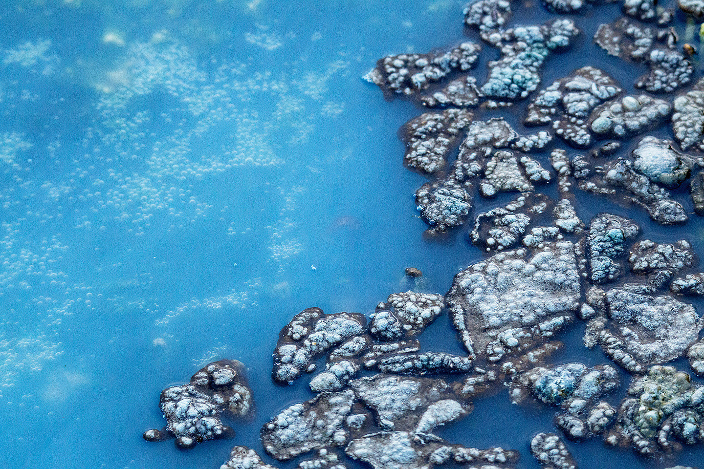 Mercedes Cuesta Mateo - MercedesCuesta_ConcursoJulio_texturas2