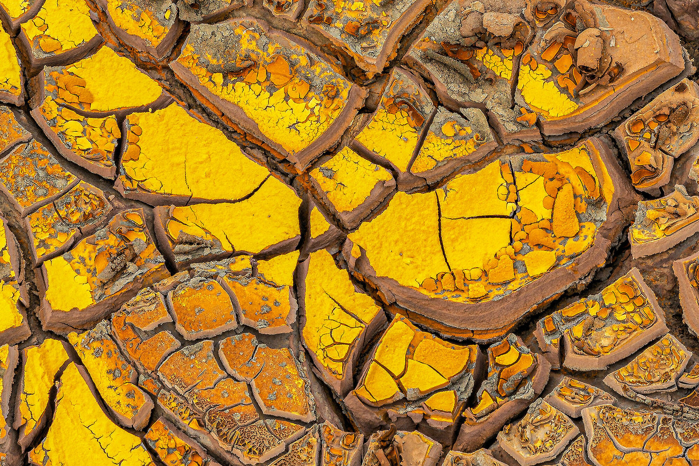 Pedro  Mozos - Pedro Mozos_Texturas 