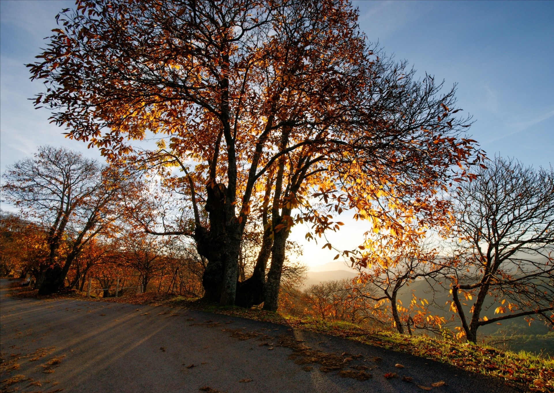 Anabel L&oacute;pez Ramos - AnabelL&oacute;pez_ConcursoOctubreOto&ntilde;o