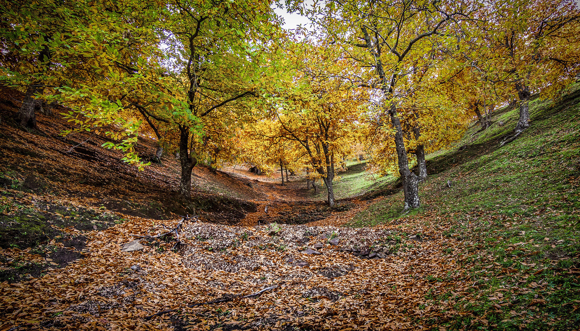 Antonio Ben&iacute;tez Paz - AntonioBenitezPaz_ConcursoOctubreOto&ntilde;o