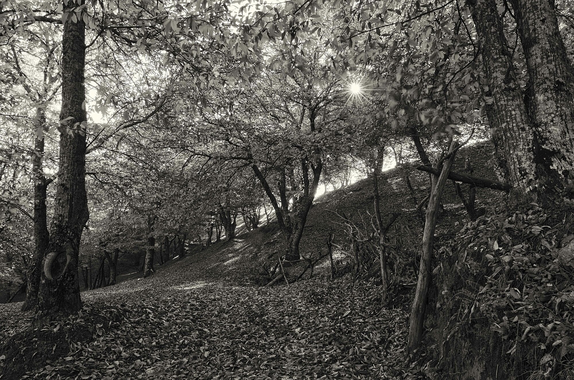 Antonio Rosa - AntonioRosa_concursooctubreoto&ntilde;o1