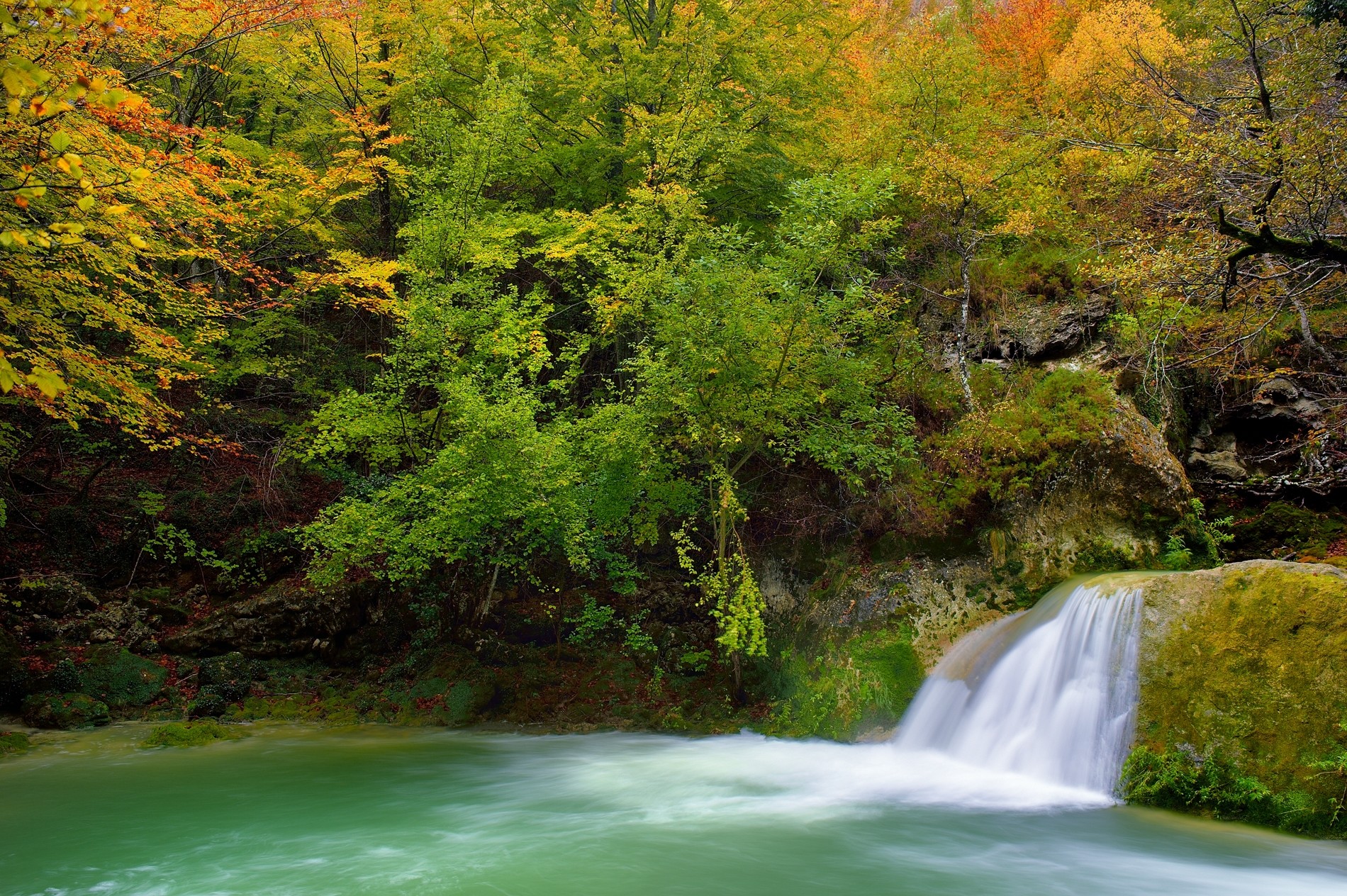 David Moya - DavidMoya_ConcursoOto&ntilde;o