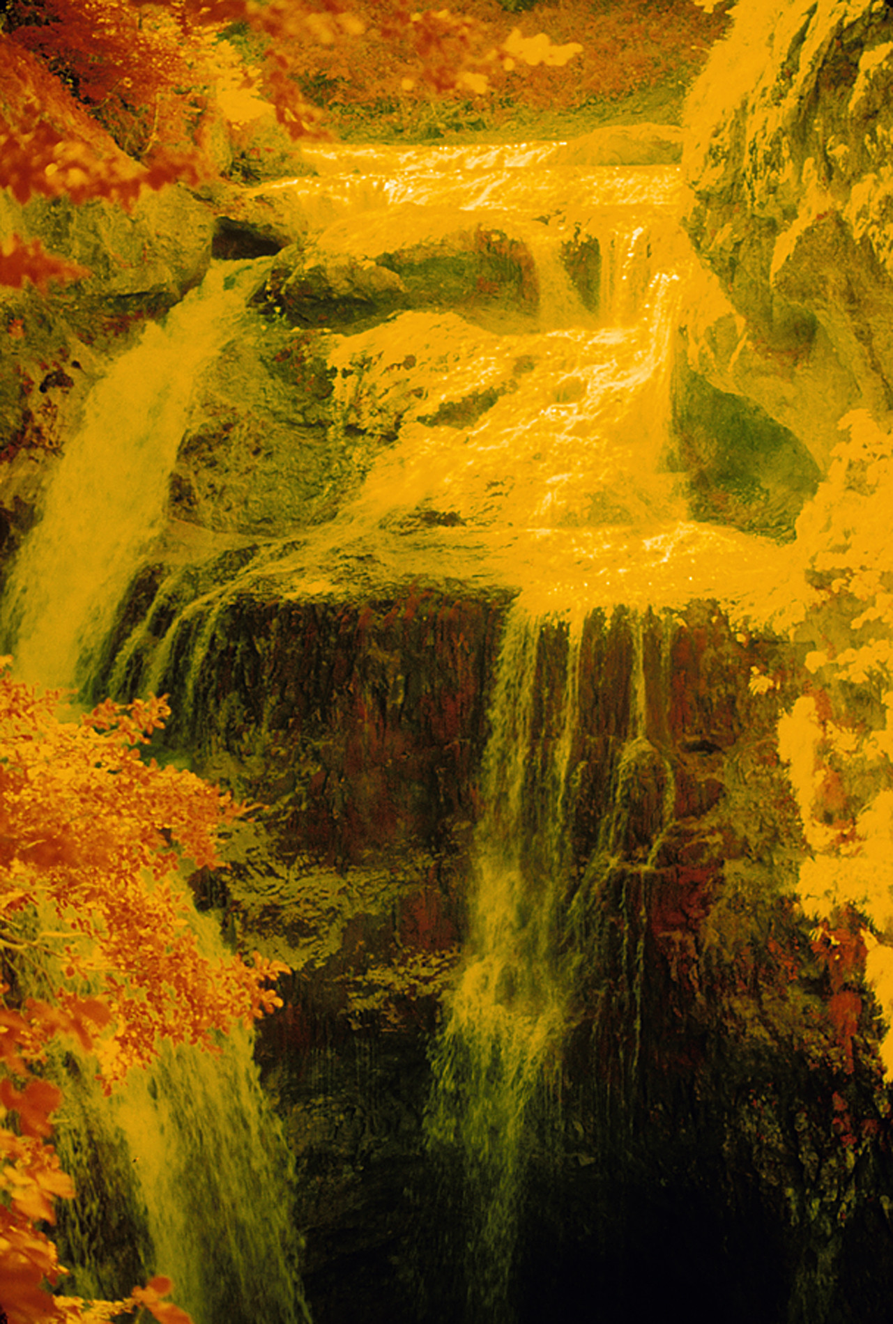 Jos&eacute;  Soria Luna - Jos&eacute; SoriaLuna_CocursoOctubreOto&ntilde;o1