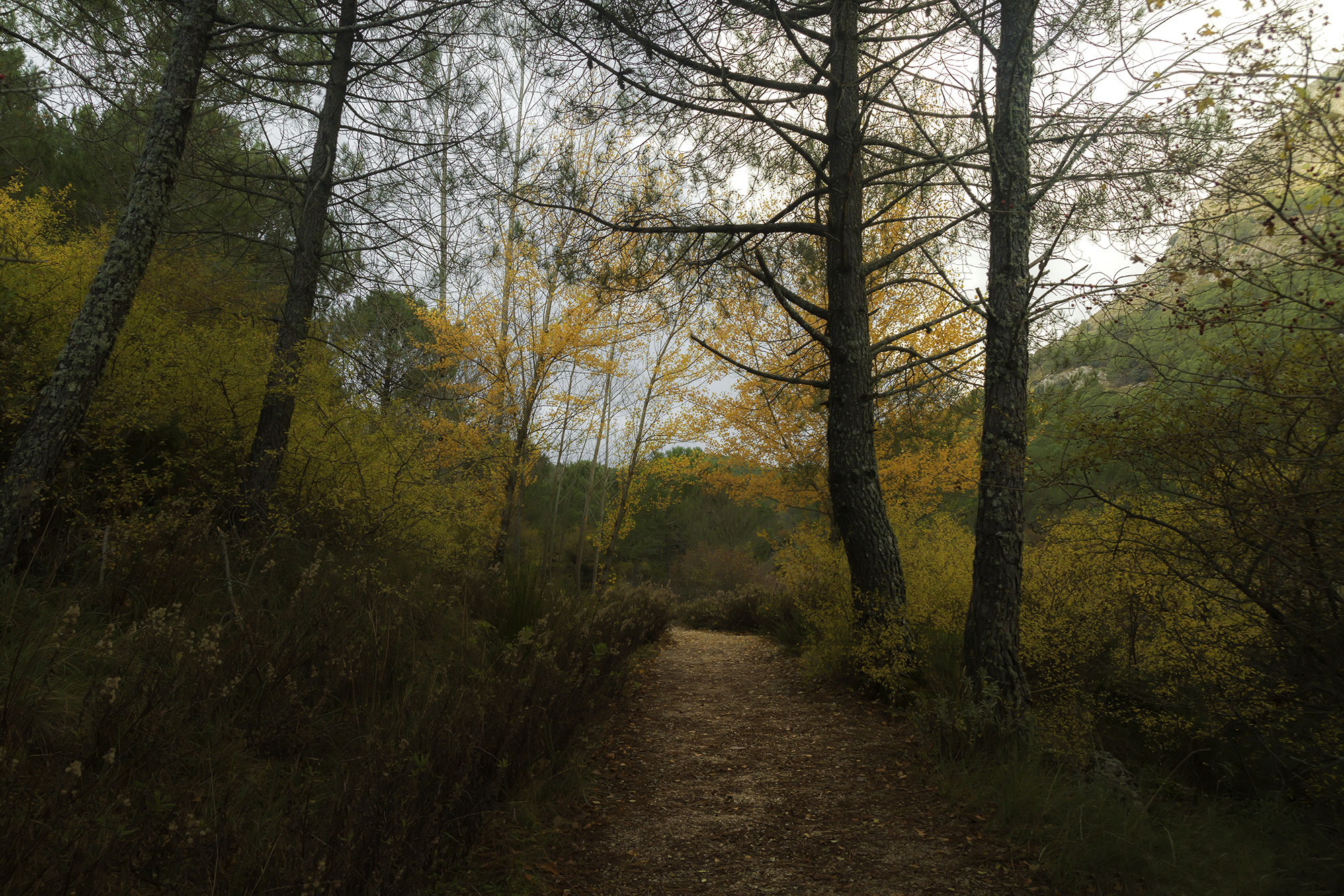 Juan Manuel carrasco chac&oacute;n - JuanCarrascoConcursoOctubreOto&ntilde;o1