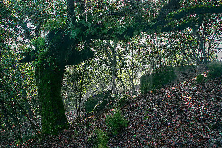 Manuel Perez Ruiz - Manuel Perez-Octubre-Oto&ntilde;o1