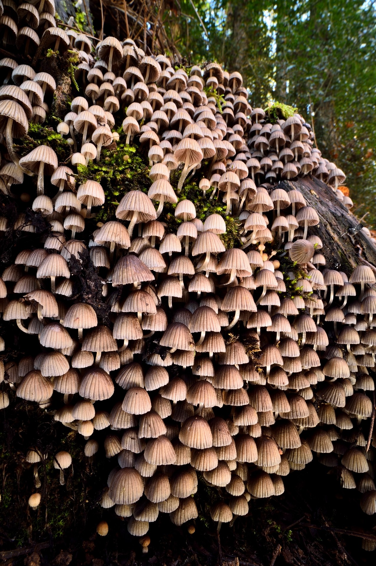 david moya - David_moya_Concurso_Noviembre