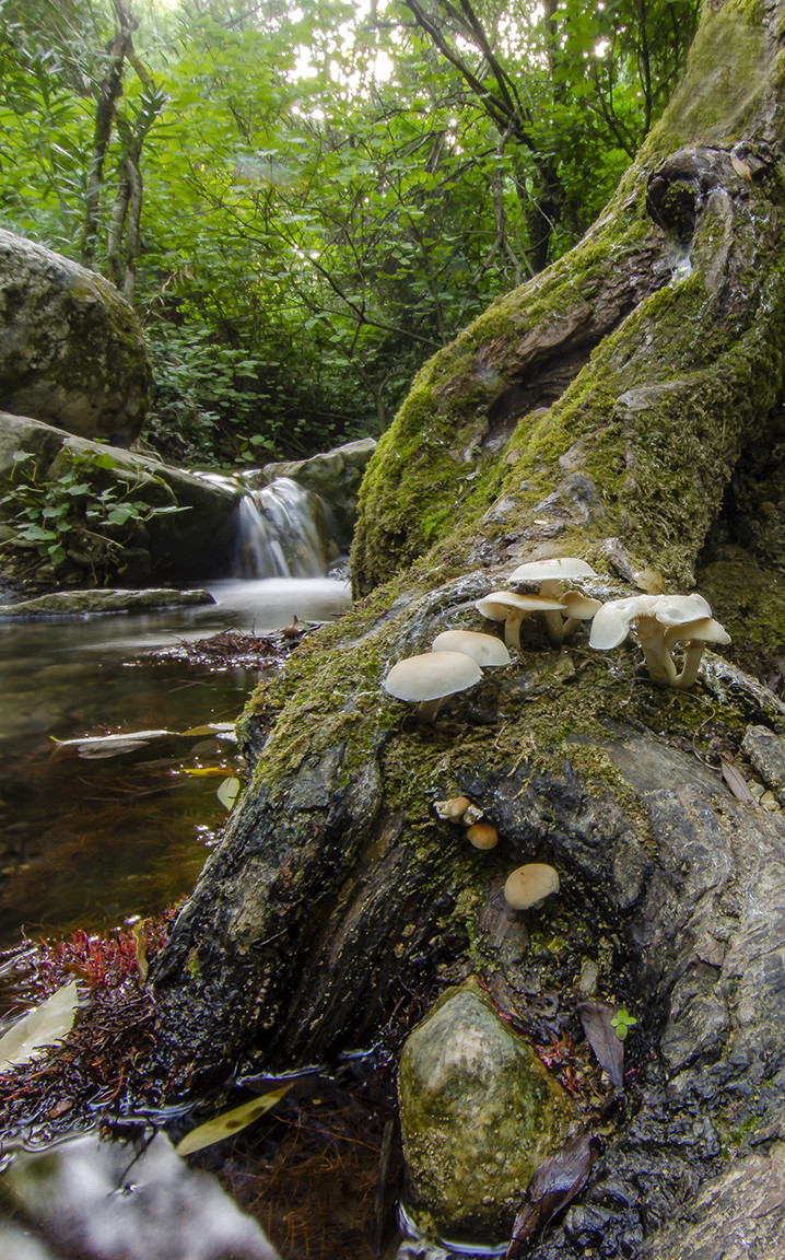 Manuel Su&aacute;rez-concursonoviembre 3