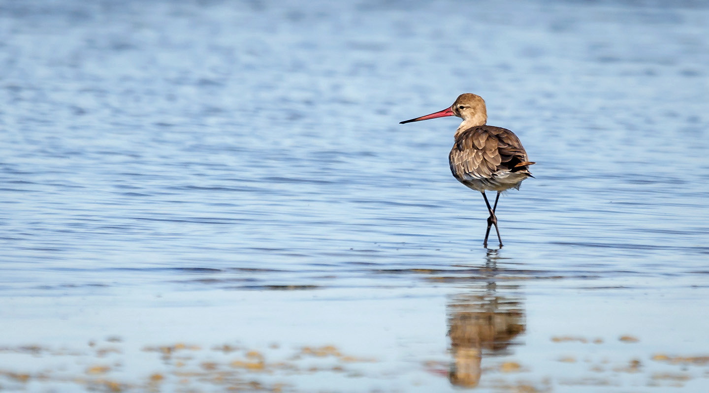 Manuel Suarez-concurso Diciembre 3