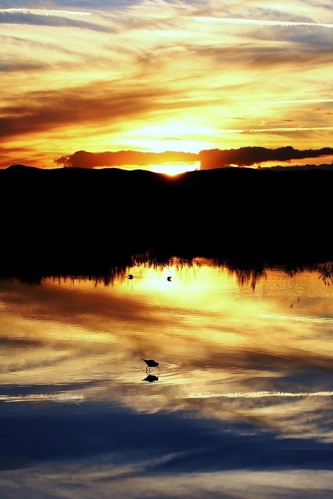 Mariano MAEZTU - #Concurso_Dic_Lim&iacute;colas_Mariano_ Maeztu_3