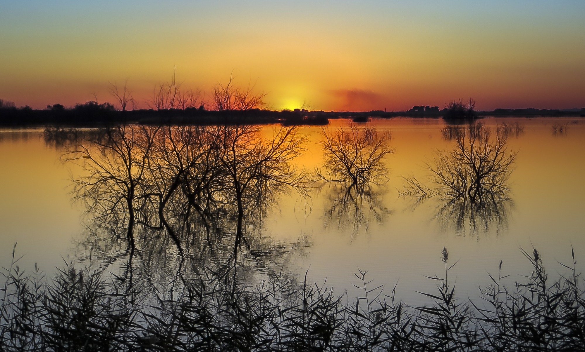 Manuel Ignacio Torres Lima - HumedalesFebreroManuelTorres