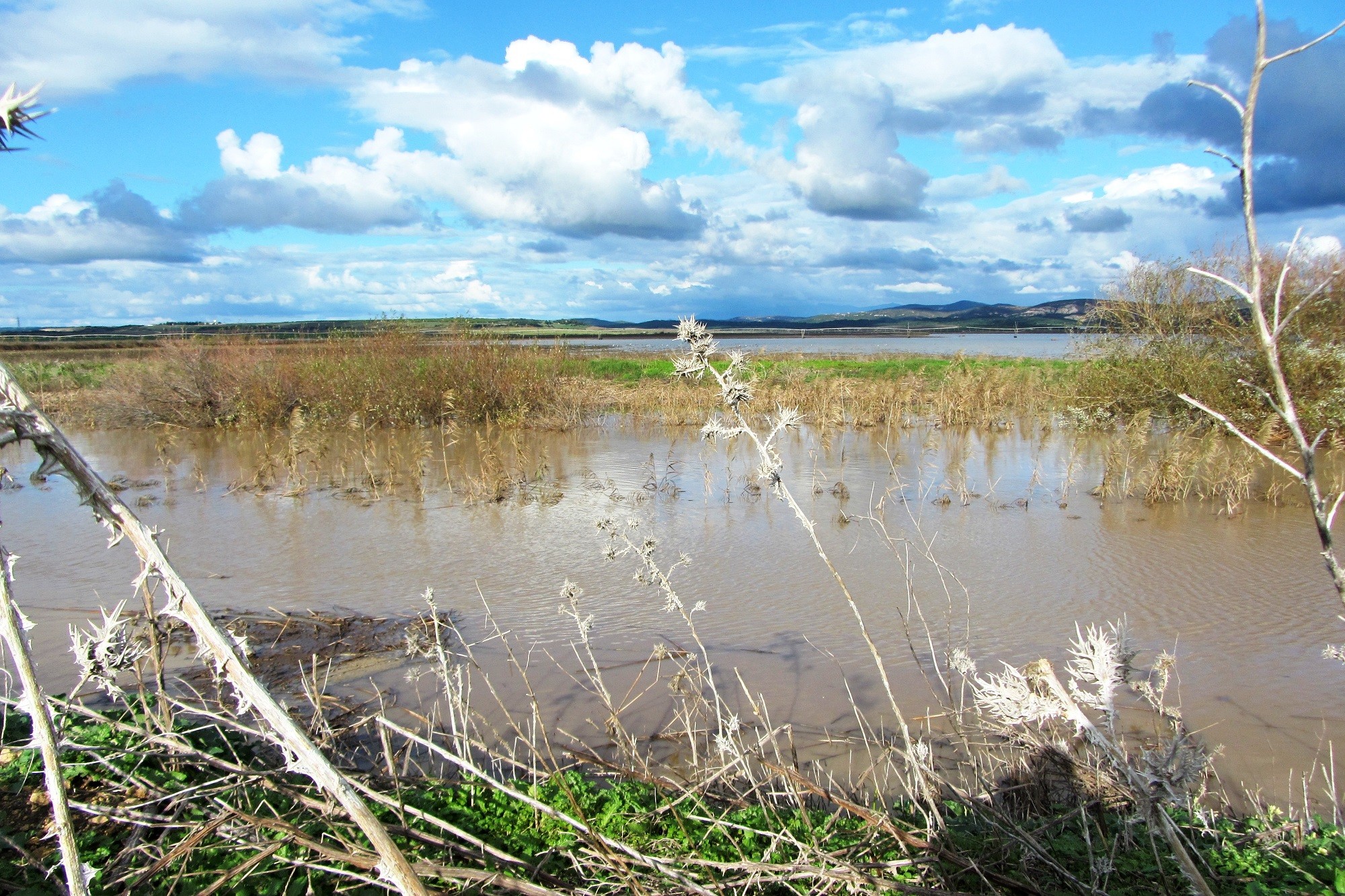 Mariano Maeztu - #Concurso_Febrero_Humedales_Mariano_Maeztu_1