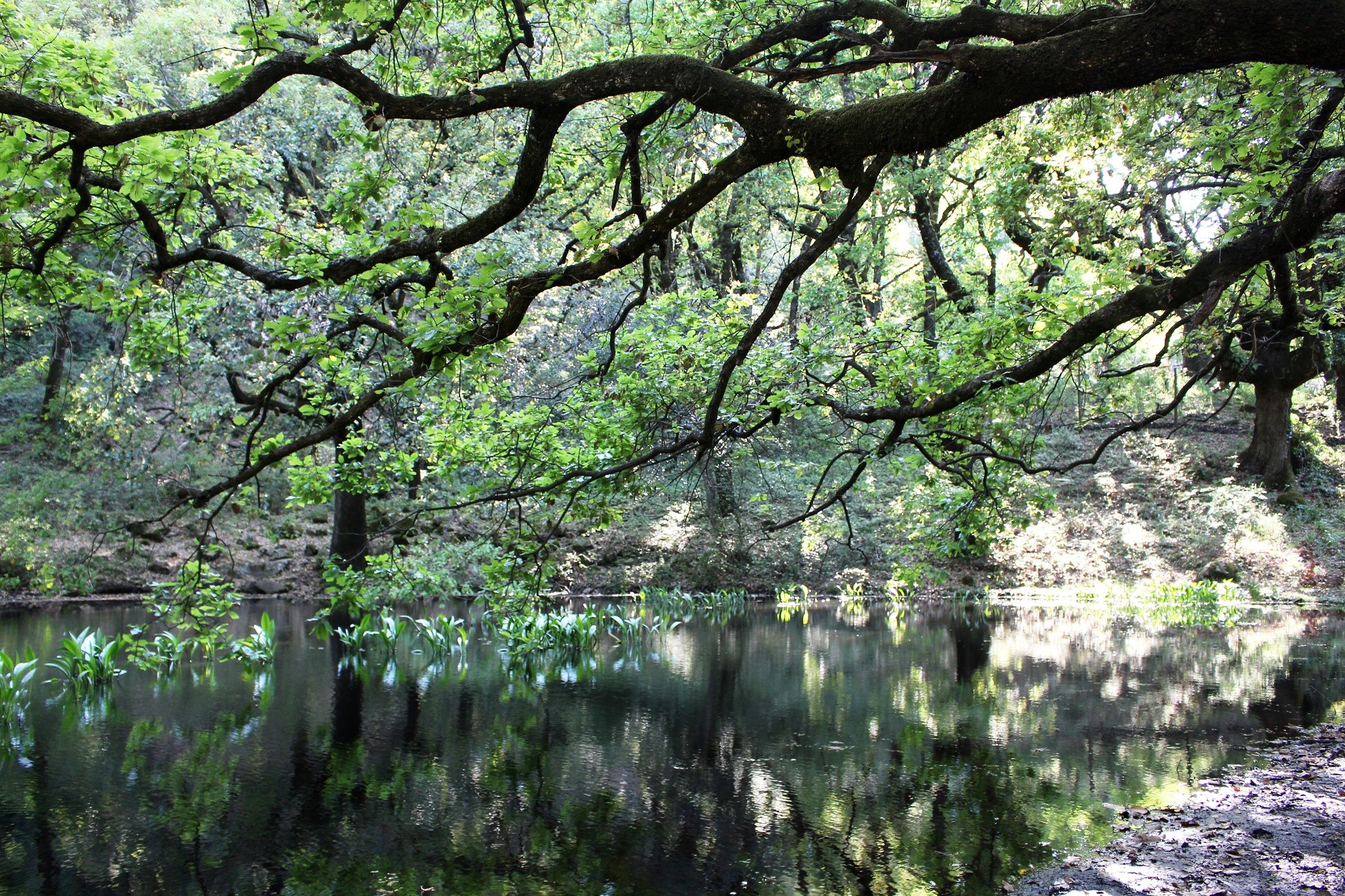 Mariano Maeztu - #Concurso_Febrero_Humedales_Mariano_Maeztu_2