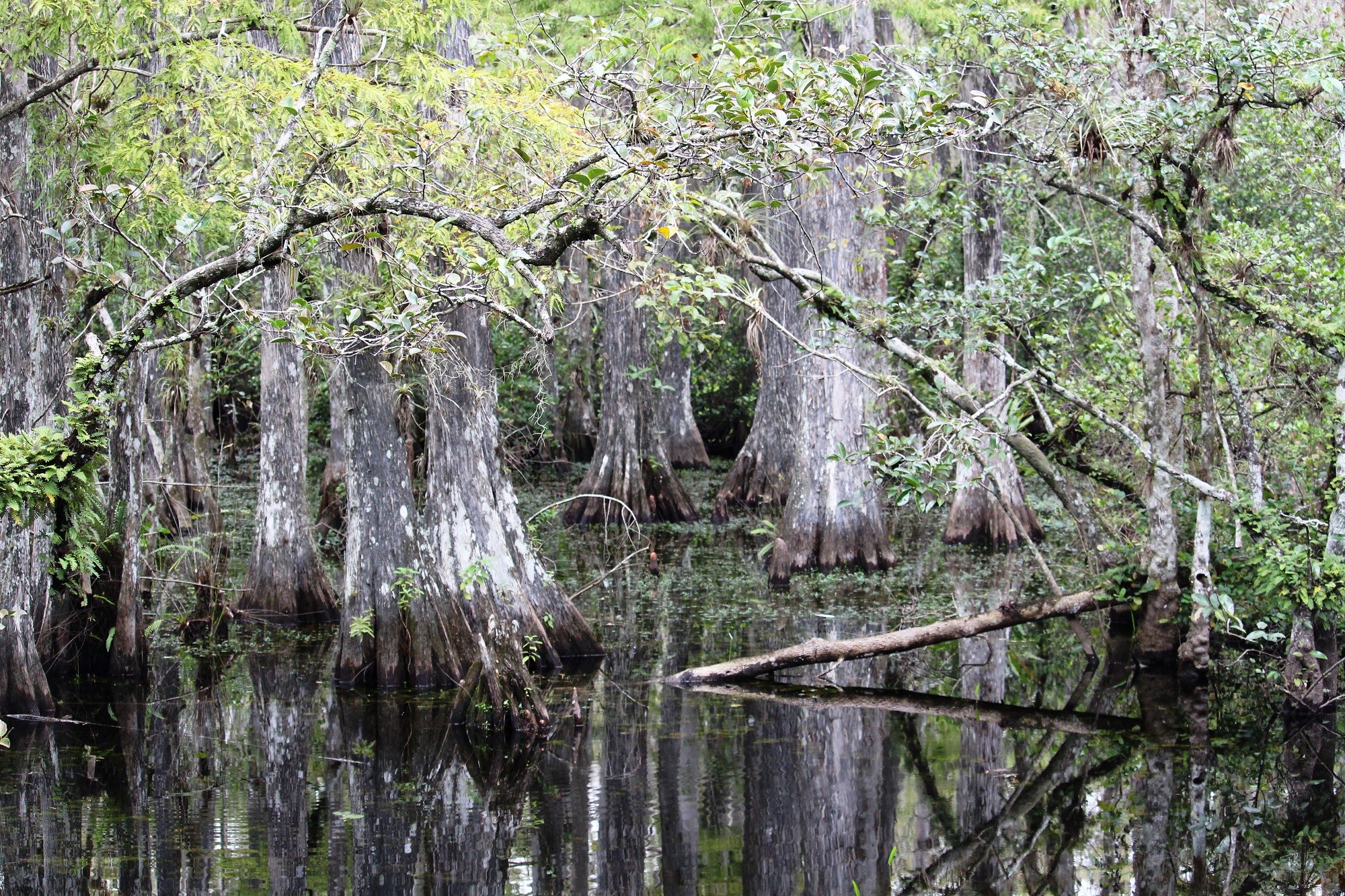 Mariano Maeztu - #Concurso_Febrero_Humedales_Mariano_Maeztu_3