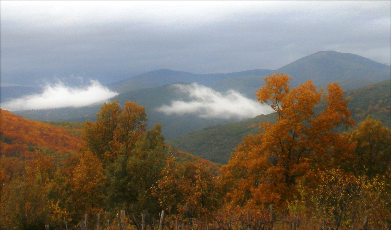 Elena De Valerio - ElenaDeValerio_concursomarzo_paisajemonta&ntilde;a_2