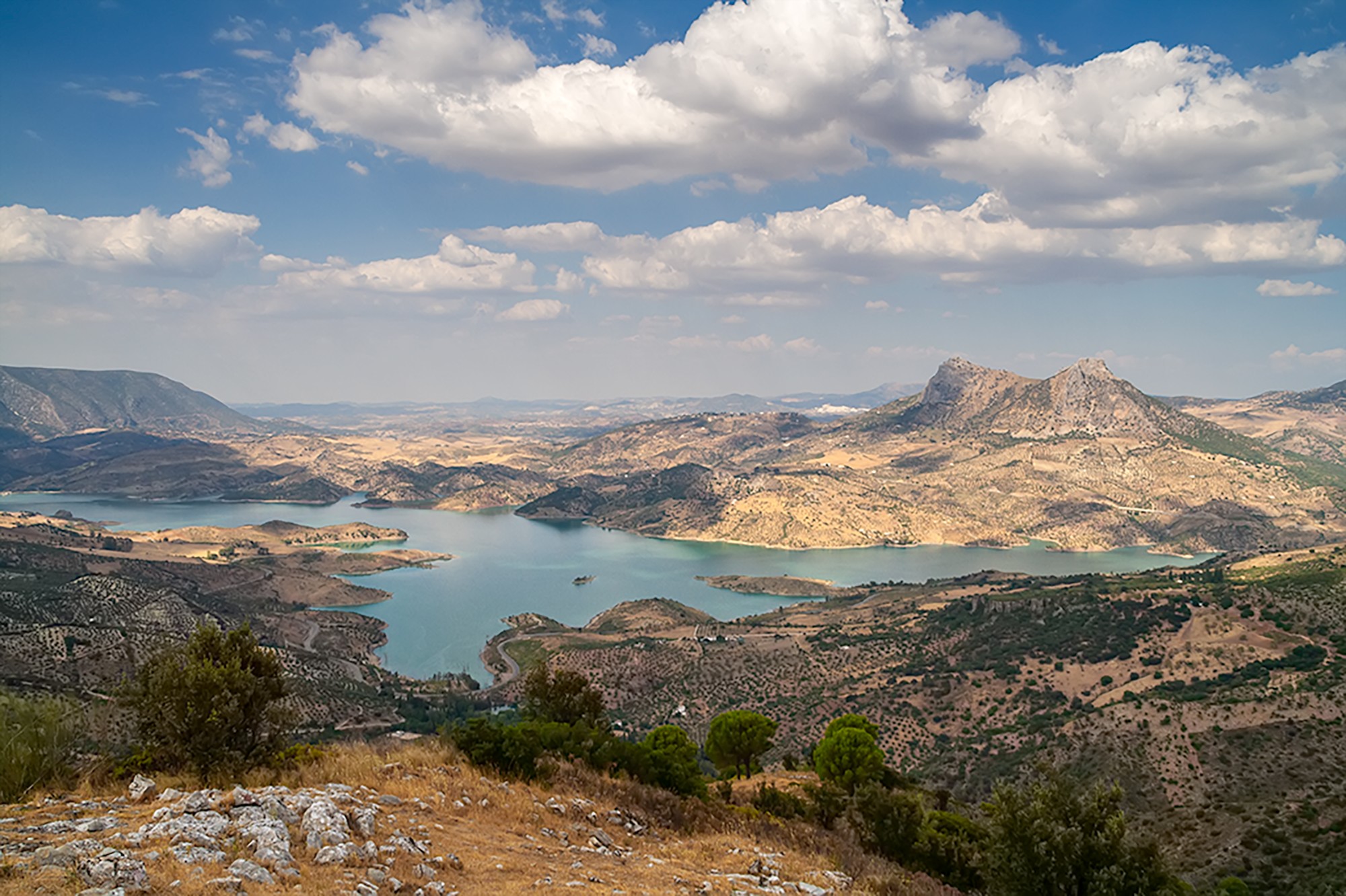Juan Manuel  carrasco chac&oacute;n - Marzomonta&ntilde;as