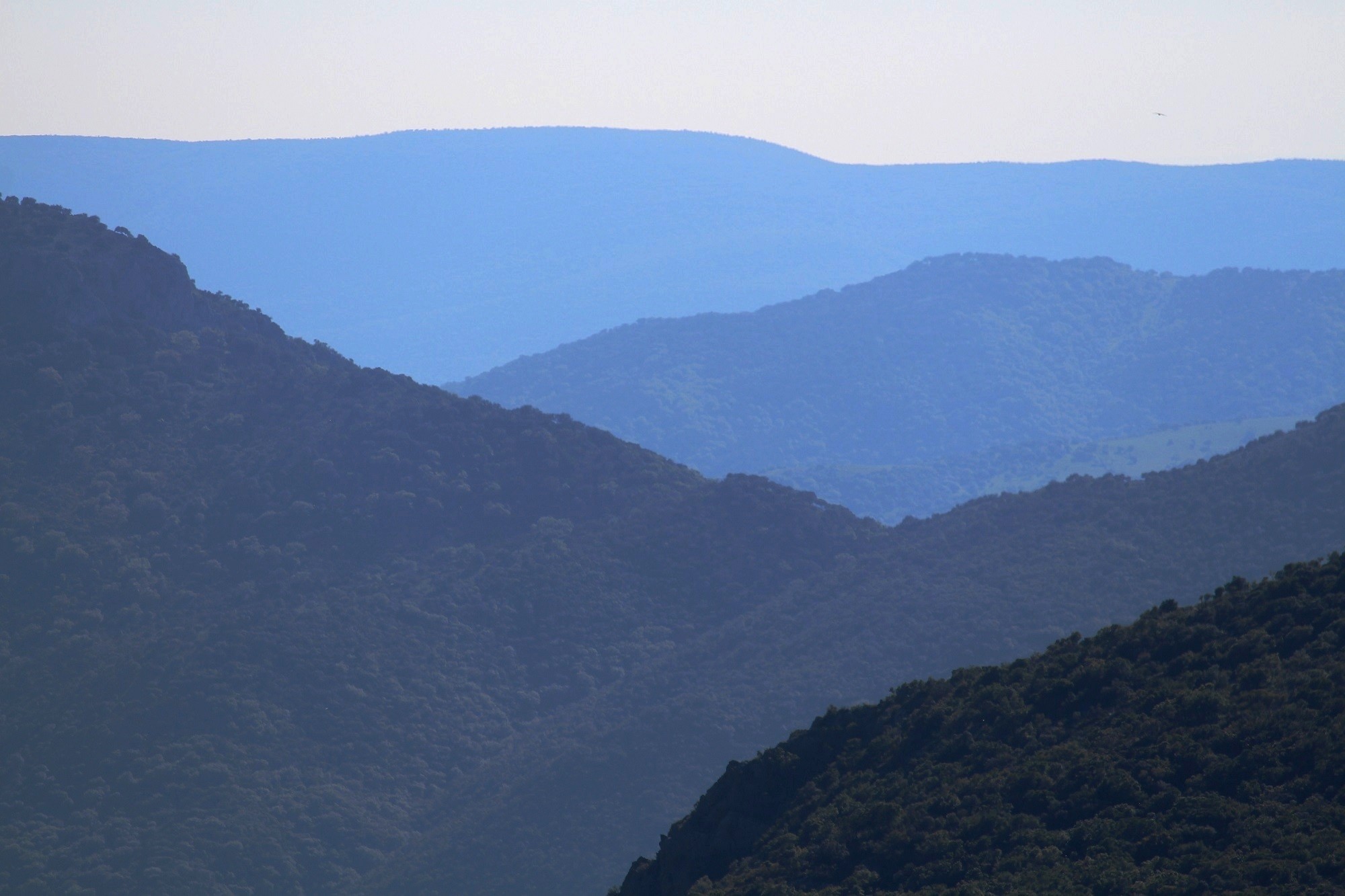 Mariano Maeztu - #Concurso_Marzo_P.Monta&ntilde;a_Mariano_Maeztu_3