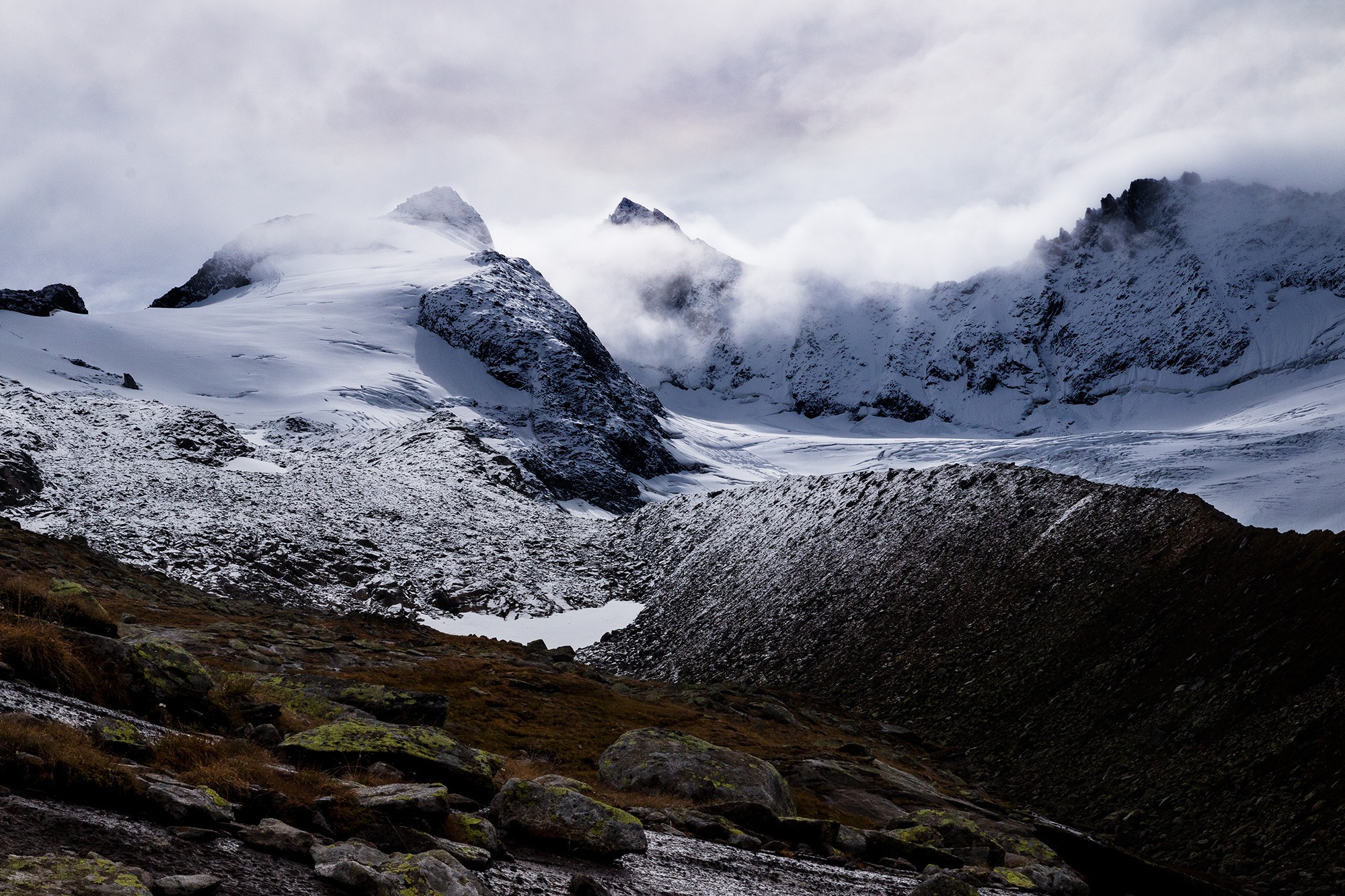 Mercedes Cuesta Mateo - MercedesCuesta_Marzo_Monta&ntilde;a_3