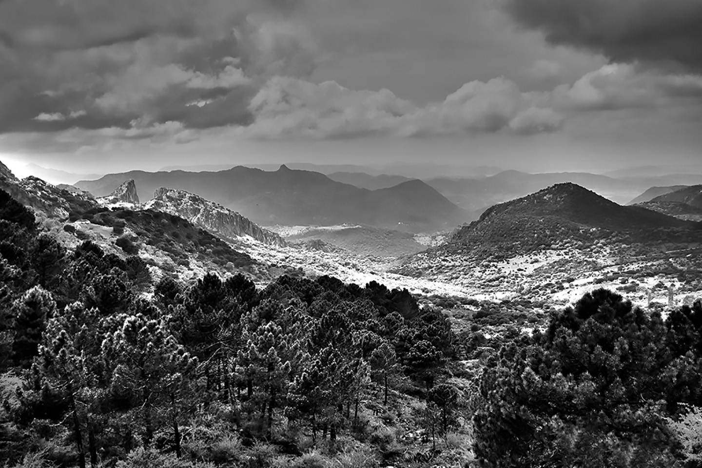 msuarez-concurso Marzo 2