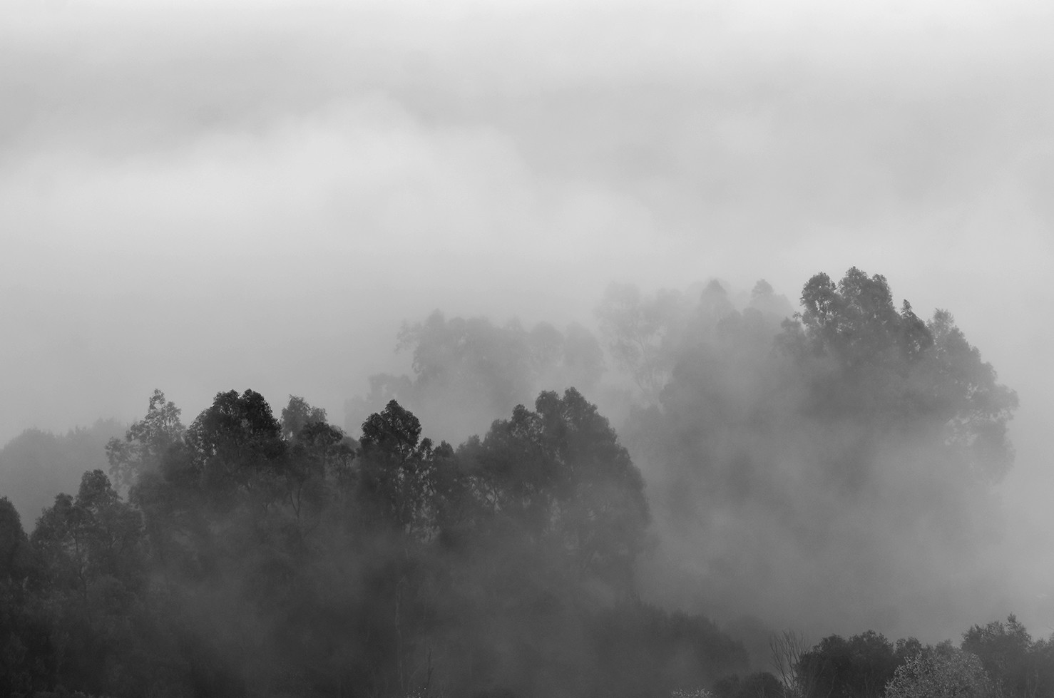 msuarez-concurso Marzo