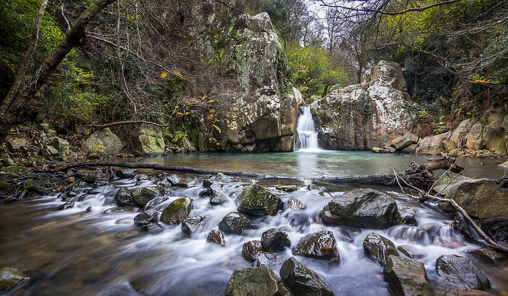 Antonio Benítez Paz - PNLosAñcornocales