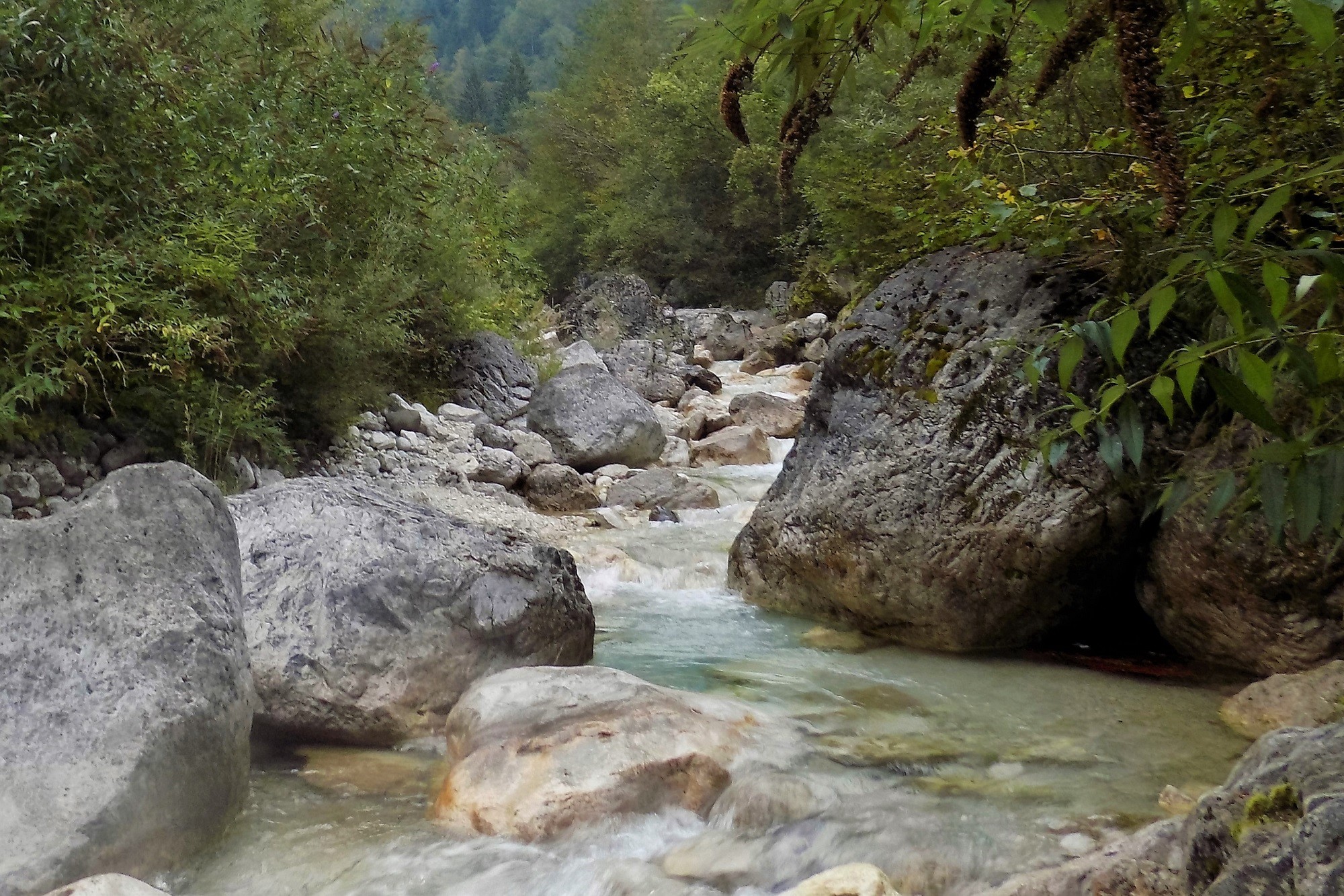 Elena De Valerio - ElenaDeValerio_concursoabril_Ríos, saltos de agua_1