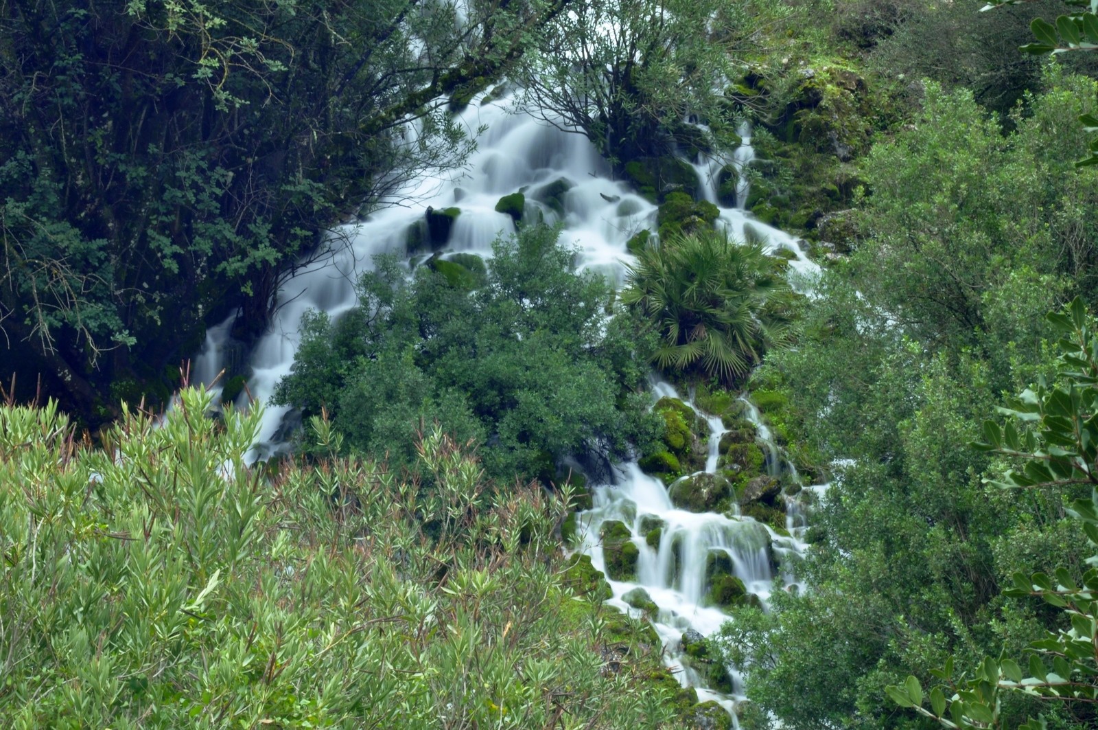 jose-diaz-marin-concursoabrilriosysaltosdeagua
